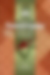 Підручники Геометрія 11 клас В. Ф. Бутузов, Ю. А. Глазков 2013 Робочий зошит