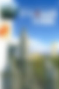 Учебники Русский язык 8 класс Е. И. Быкова, В.И. Стативка, Л. В. Давидюк 2008