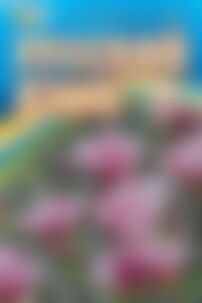 ГДЗ Російська мова 7 клас В.І. Статівка, Л. В. Давидюк 2015