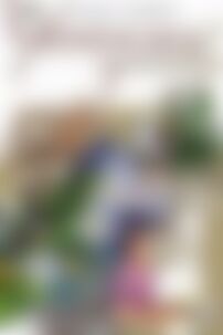 ГДЗ Українська мова 7 клас А. А. Ворон, В. А. Солопенко 2006