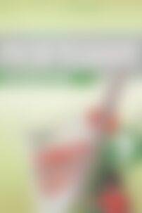 ГДЗ Геометрія 7 клас А. Г. Мерзляк, В. Б. Полонський, М. С. Якір, Ю. М. Рабінович 2007 Збірник задач і завдань для тематичного оцінювання