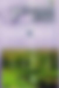 ГДЗ Русский язык 8 класс Е. И. Самонова, Т. М. Полякова 2016 4 год обучения