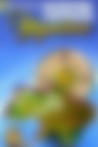 ГДЗ Географія 8 клас В. Ю. Пестушко, Г. Ш. Уварова 2008