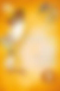 ГДЗ Укр мова 9 класс А. А. Ворон, В. А. Солопенко 2017