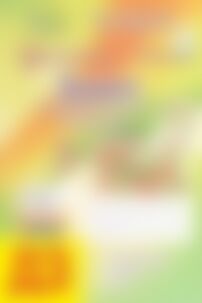 ГДЗ Українська мова 5 клас В. В. Заболотний, О. В. Заболотний 2018 Зошит для контрольних робіт