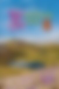 ГДЗ Укр мова 8 класс В. Т. Сычова, М.Г. Жук, С. Я. Ермоленко 2016