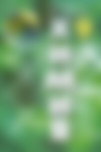 ГДЗ Химия 9 класс Г. Е. Рудзитис, Ф. Г. Фельдман 2011