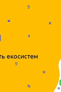 Онлайн урок 9 класс Биология. Экосистема. Разнообразие экосистем (Нед.4:ВТ)