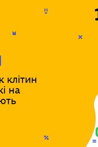 Онлайн урок 10 класс Биология. Рост и развитие клеток а так же факторы, которые на него влияют (Нед.6:ВТ)