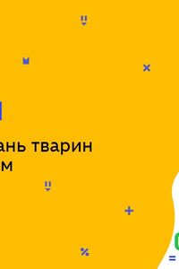 Онлайн урок 7 класс Биология. Типы группировок животных по К. Лоренцем (Нед.6:ВТ)