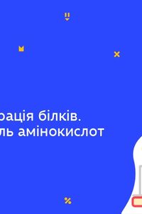 Онлайн урок 9 клас Хімія. Білки. Денатурація білків. Біологічна роль амінокислот і білків (Тиж.6:СР)