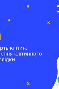 Онлайн урок 10 класс Биология. Старение и смерть клеток. Причины нарушения клеточного цикла (Нед.6:ПТ)