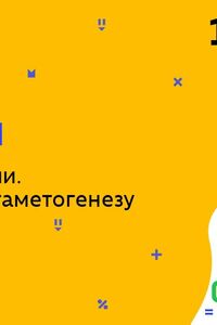 Онлайн урок 10 класс Биология. Половые клетки. Особенности гаметогенеза у человека (Нед.7:ПТ)