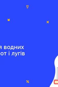 Онлайн урок 7 клас Хімія. Випробування водних розчинів кислот і лугів індикаторами (Тиж.8:ПТ)