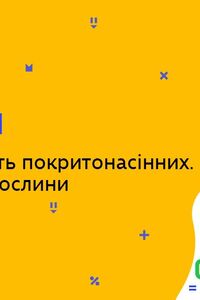 Онлайн урок 6 клас Біологія. Різноманітність покритонасінних. Однодольні рослини (Тиж.4:ЧТ)