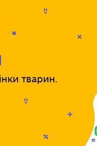 Онлайн урок 7 клас Біологія. Форми поведінки тварин. Урок 2 (Тиж.4:ЧТ)