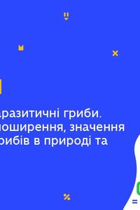 Онлайн урок 6 клас Біологія. Групи грибів: паразитичні гриби (Тиж.9:ЧТ)