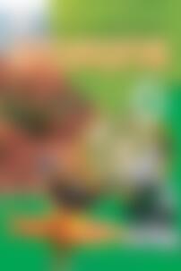 Учебники Биология 6 класс И. Ю. Костиков, С. О. Волгин, Г.В. Ягенская, В.В. Додь, О.В. Жолос, Г.М. Толстанова, А.В. Сиволоб, И.В. Довгаль, Н.В. Скрипник, А.Е. Ходосовцев 2020