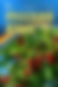 ГДЗ Російська мова 7 клас В.І. Статівка, Л. В. Давидюк 2015