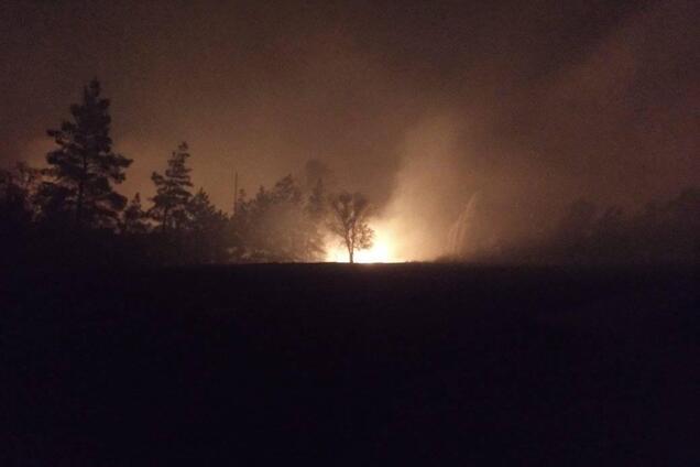 Лесной пожар на Луганщине
