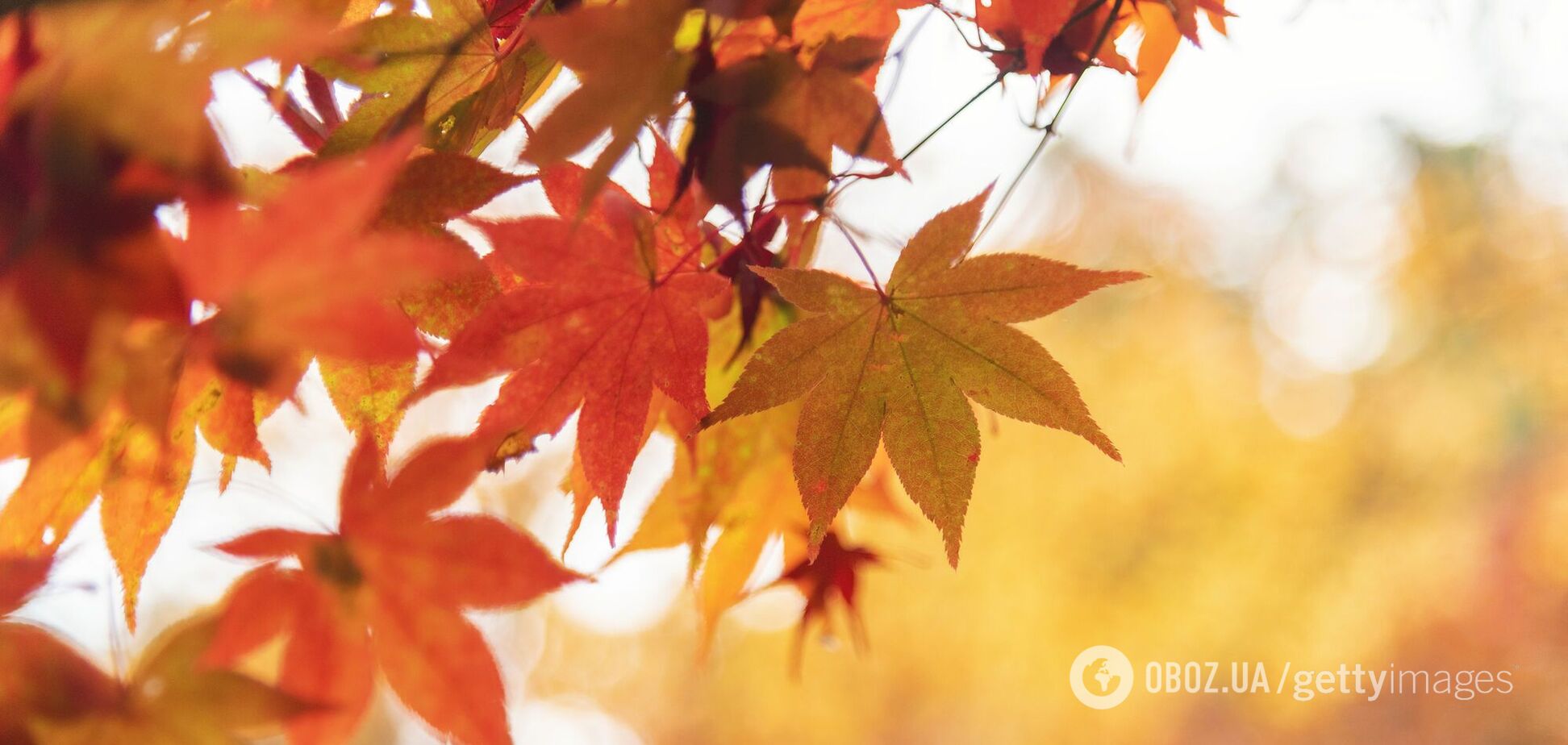 Погода осенью в Украине