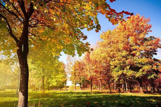 Что отмечают 4 октября: приметы и праздники