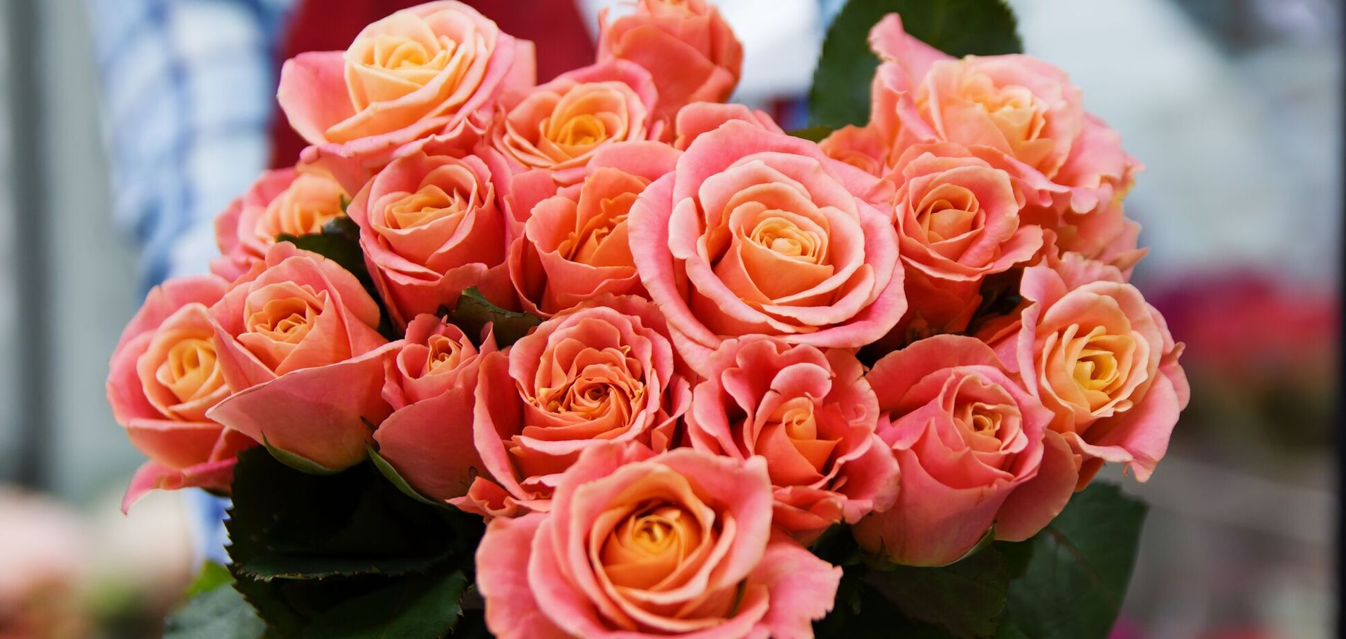 День учителя в Украине отмечается в первое воскресенье октября