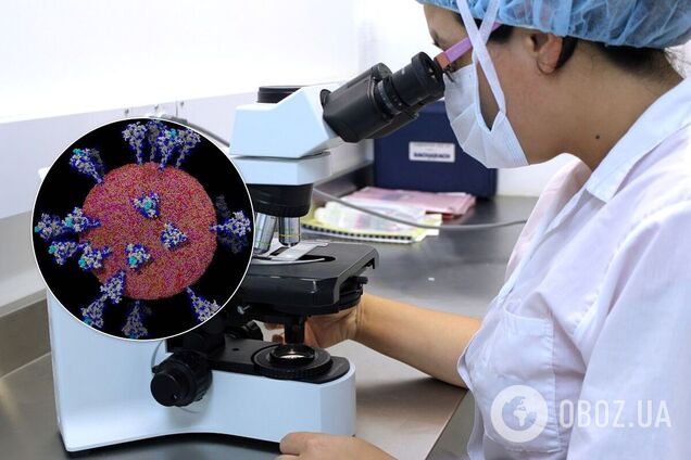 Биологи получили новые подробные изображения коронавируса