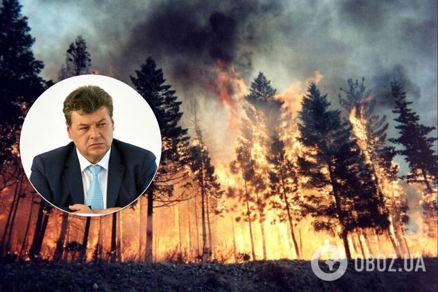 Пострадавшим от пожаров на Житомирщине выплатят по 300 тысяч грн – председатель ОГА