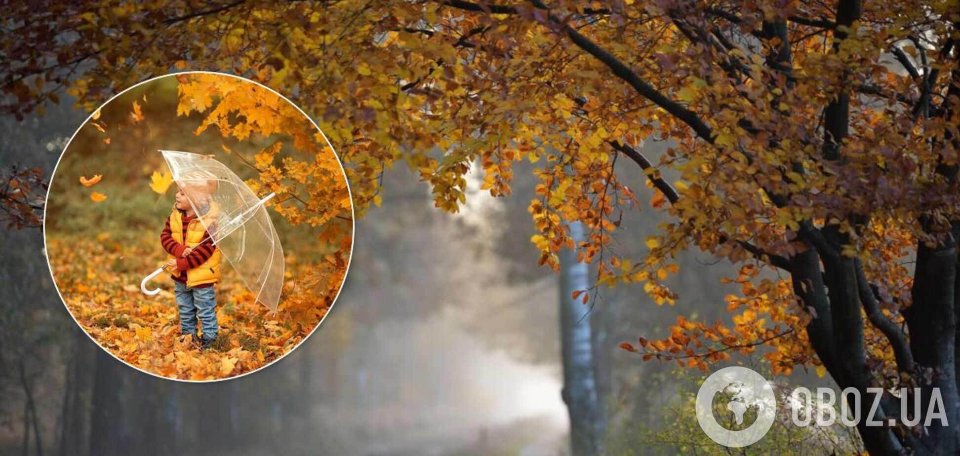 Погода в Украине 16 октября