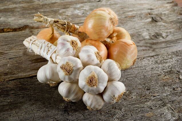 Часник і цибуля