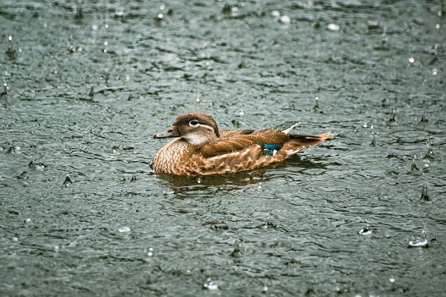 В каких регионах Украины ожидается похолодание