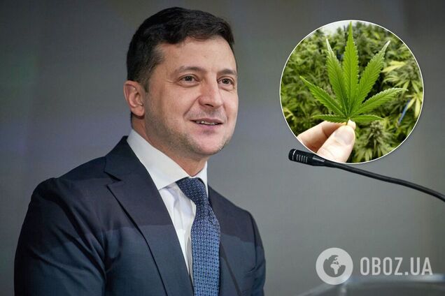 В ОП рассказали, почему Зеленский решил спросить украинцев о каннабисе