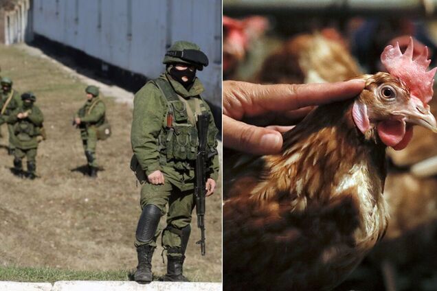 Новости Крымнаша. Курка, яйки, млеко — шнель!