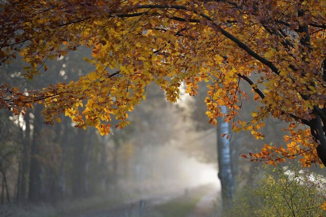 У Дніпрі спрогнозували холодну погоду 19 жовтня
