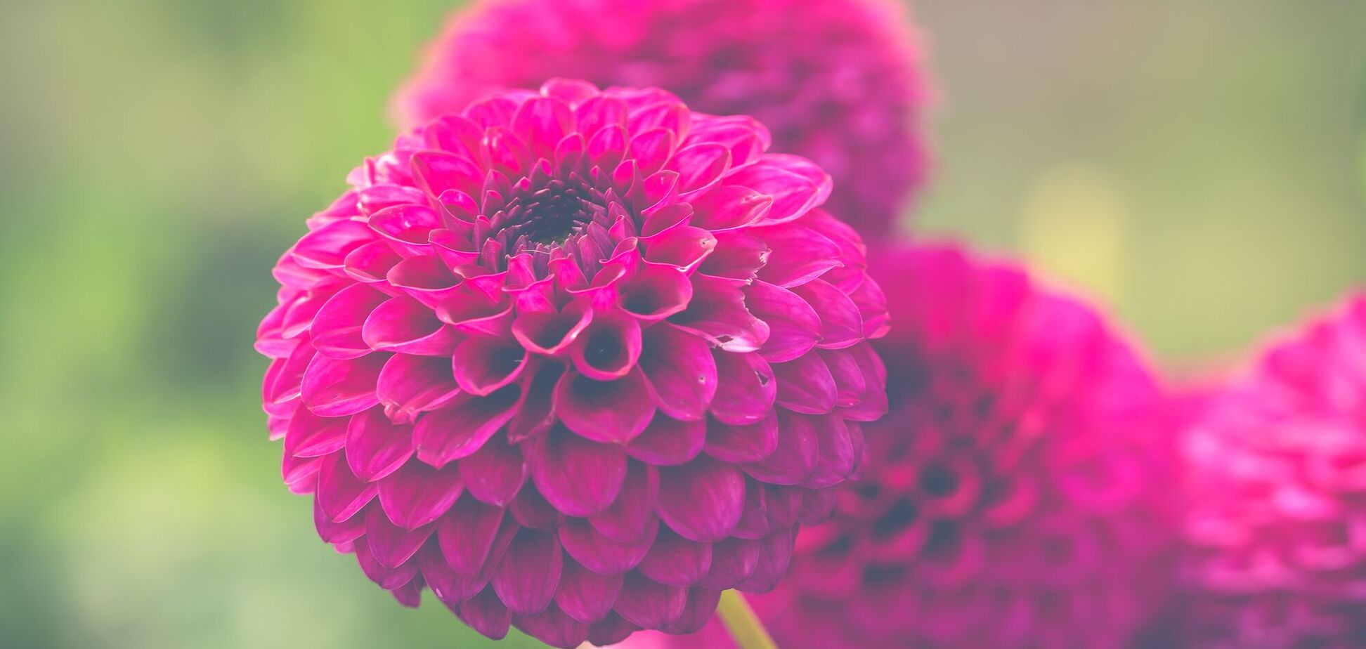 20 жовтня відзначається день ангела Аліни