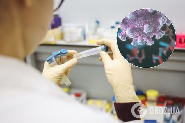 Вчені виявили вразливе місце коронавірусів