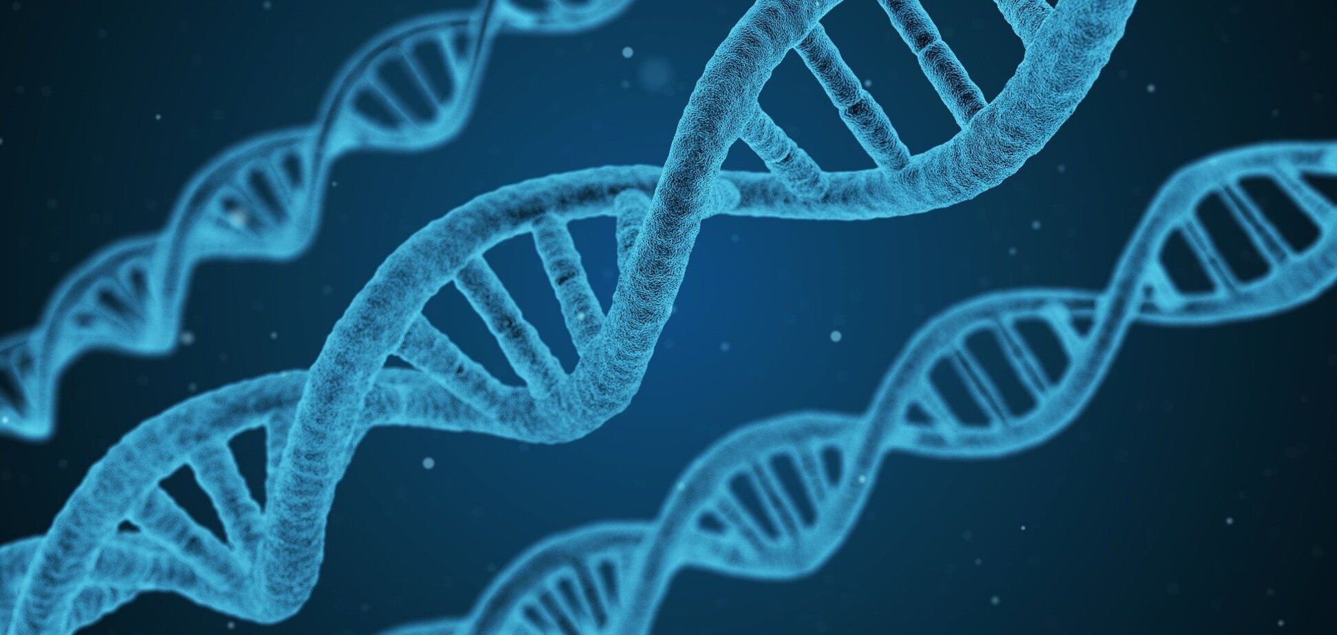 Возникновение первых живых организмов