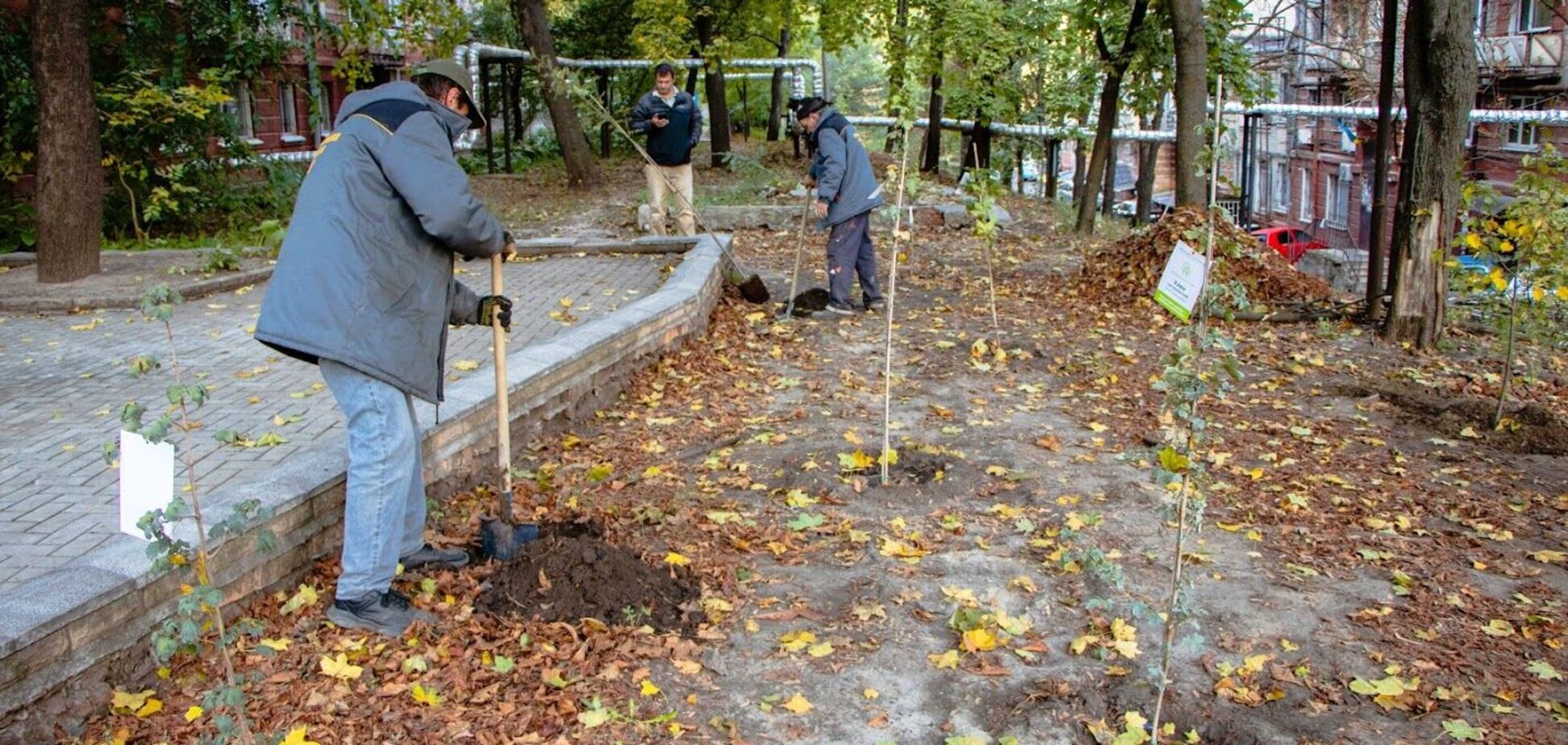 Дніпро квітучий: понад 5000 молодих дерев висадять на прибудинкових територіях житлових будинків
