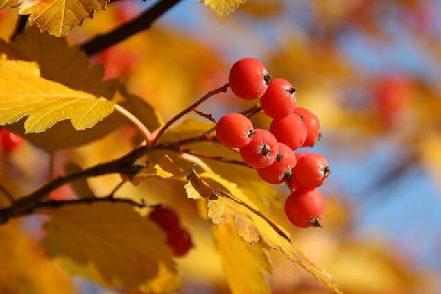 Что отмечают 23 октября: приметы и праздники