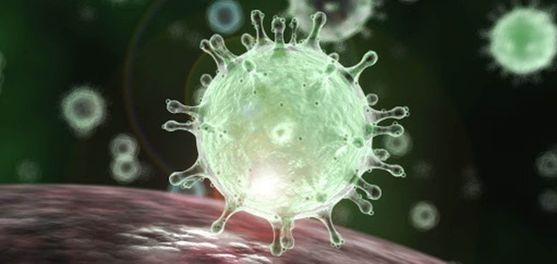 Стало відомо, як коронавірус проникає в людські клітини