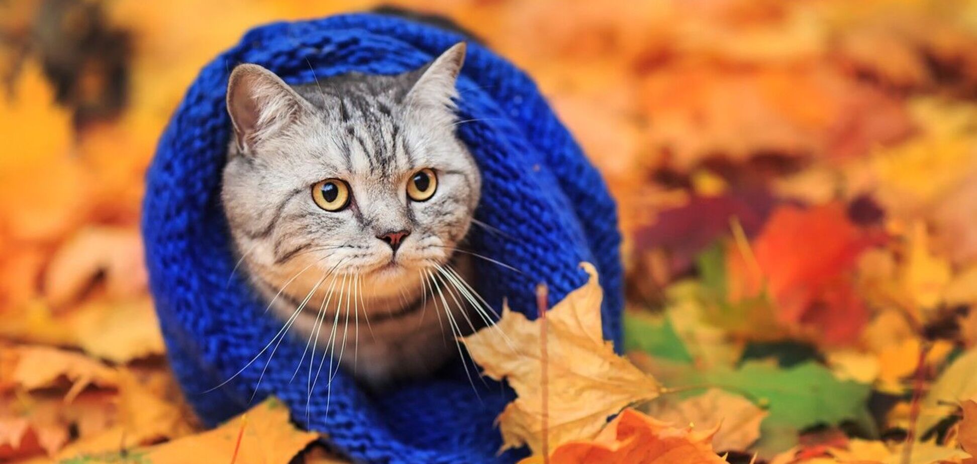 До +23: у Дніпрі прогнозують теплу погоду в п'ятницю