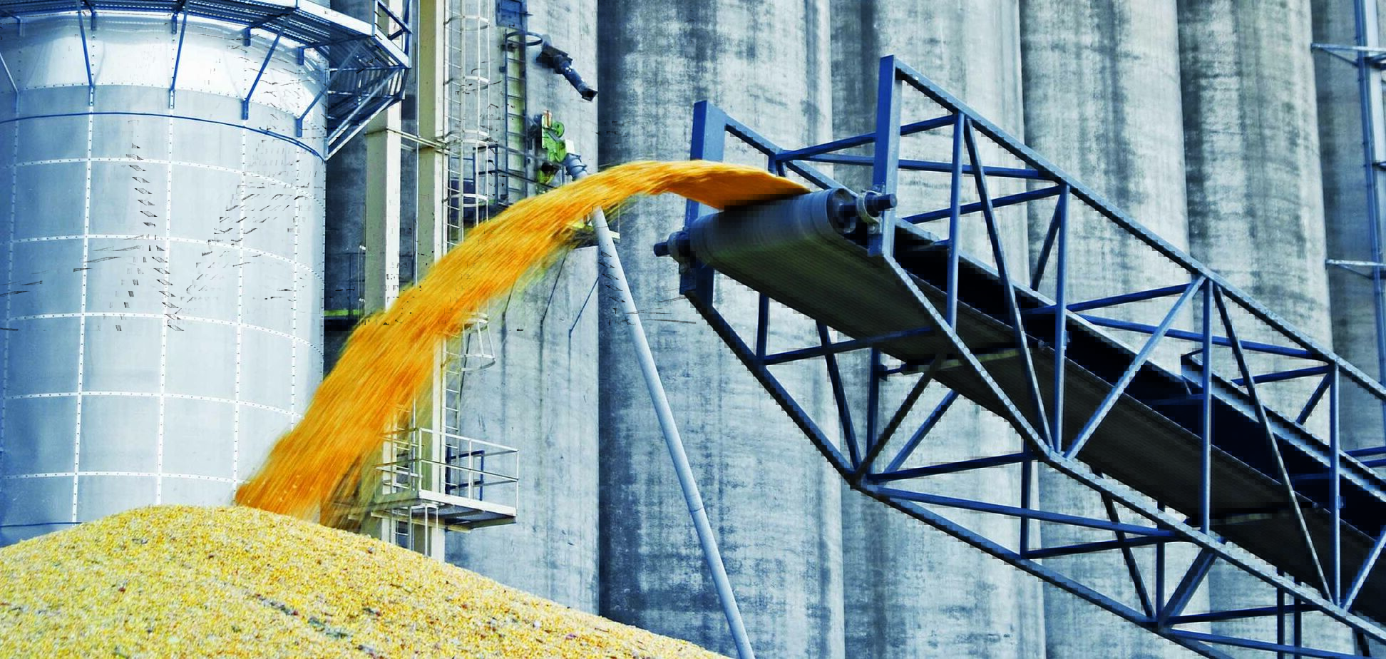 Украина заняла второе место в мире по экспорту зерна