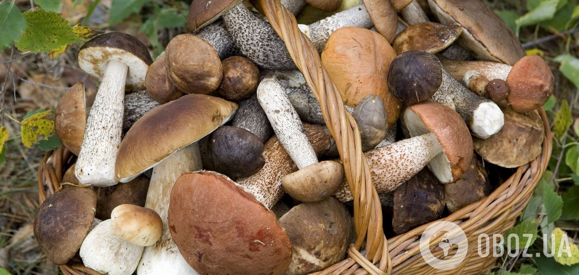 Брускета й омлет: п'ять швидких і смачних страв із грибами