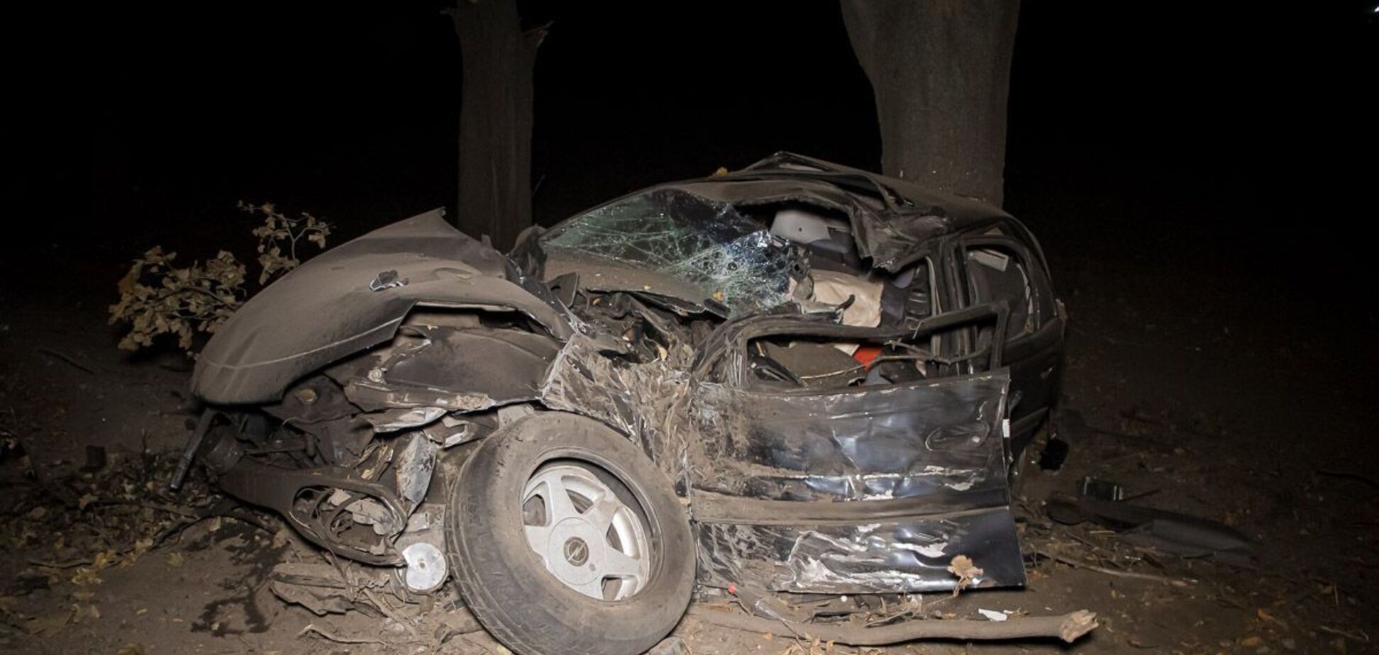 На Дніпропетровщині авто врізалося в дерево, водій загинув. Фото