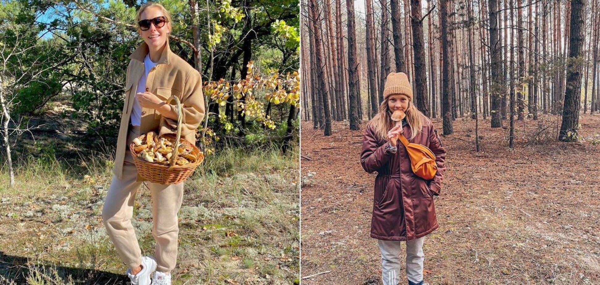 Бабкін, Шоптенко і Горбунов із Осадчою: як українські зірки збирали гриби