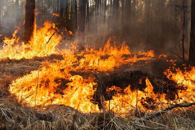 В Днепре и области спасатели объявили высокую пожарную опасность
