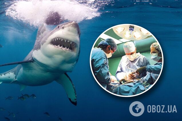 Акула покусала украинцев в Египте