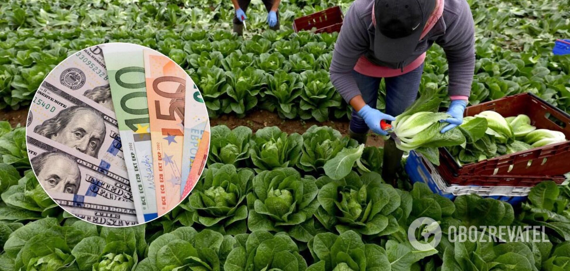 Налоговые планы: своих — грабить, чужим — офшор