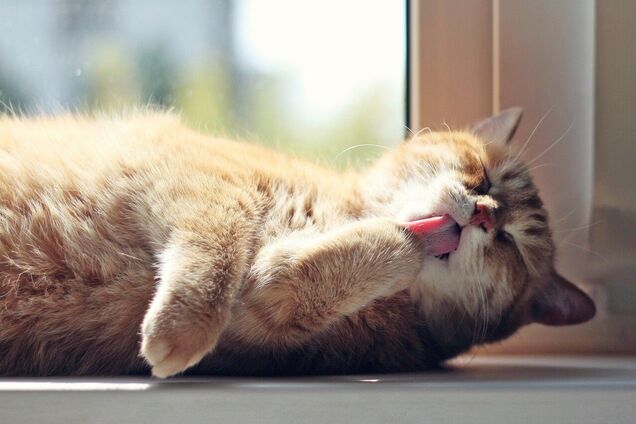 Синоптики спрогнозировали солнечную погоду в Днепре